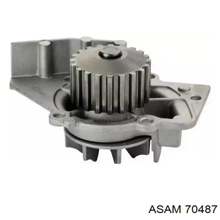 Водяний насос Asam 70487