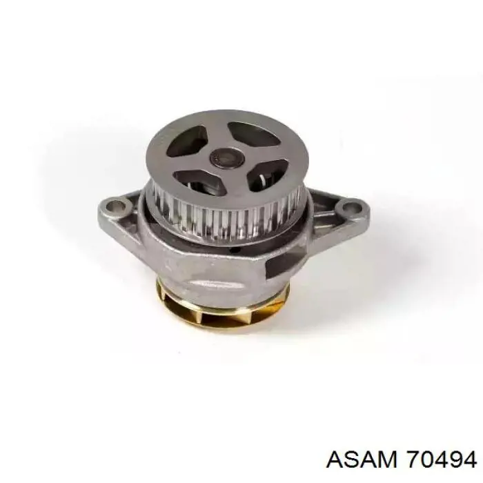 Помпа 70494 Asam