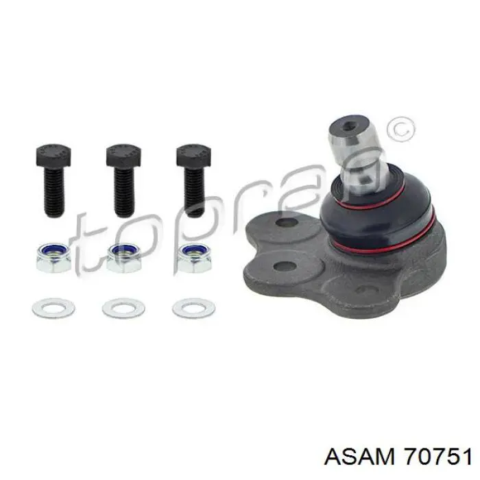 Кульова опора, нижня Asam 70751 ціна, від 10.63 USD