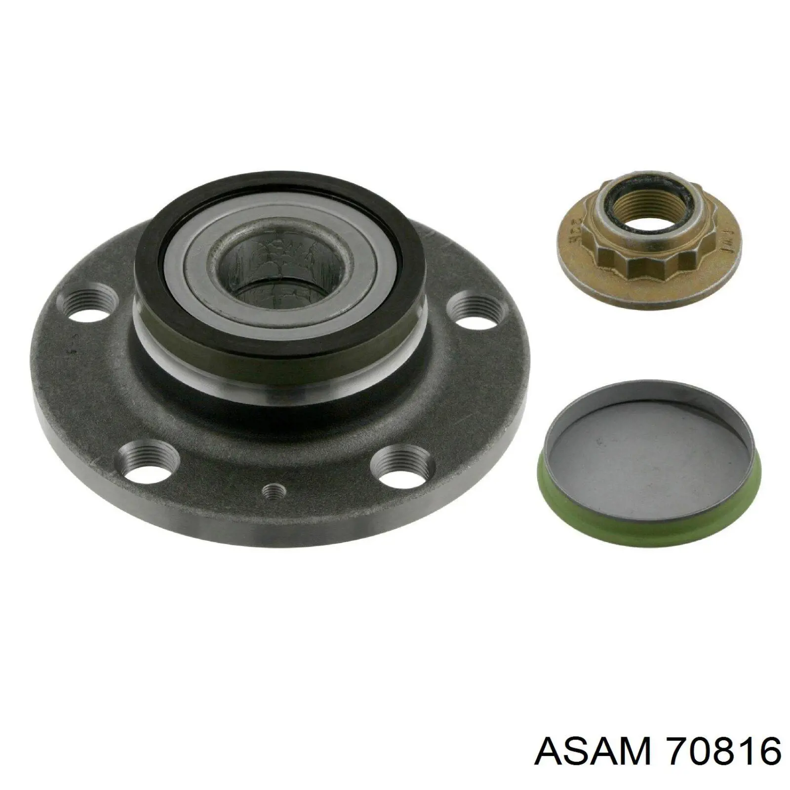 70816 Asam Маточина задня