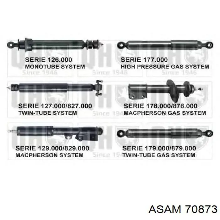 Задній амортизатор Asam 70873