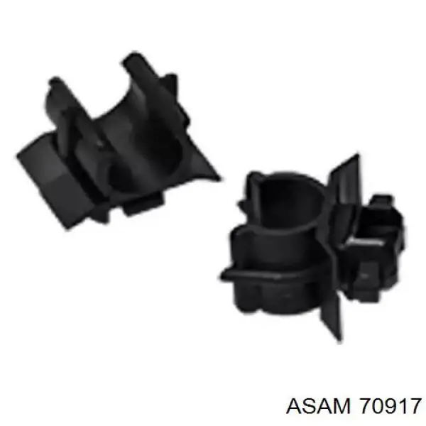 70917 Asam