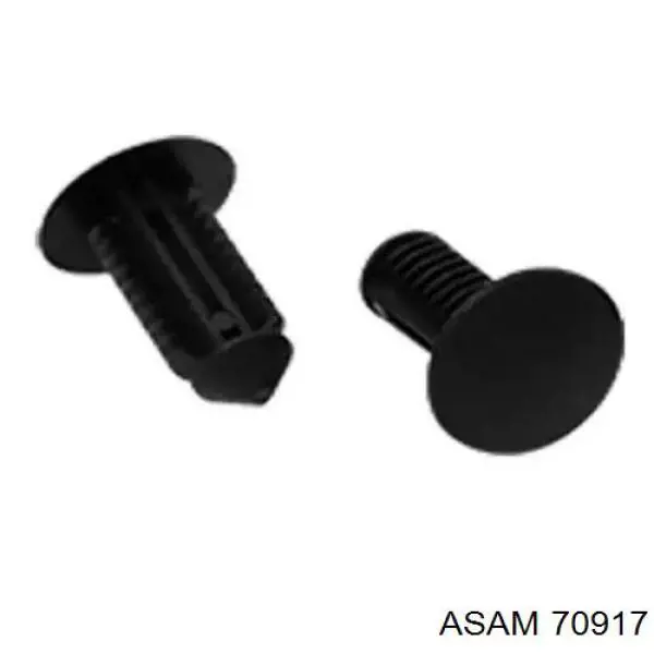 Купити 70917 Asam 