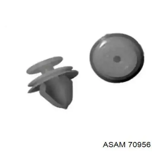 Кліпса (пістон) кріплення молдинга двері Asam 70956 ціна, від 0.41 USD