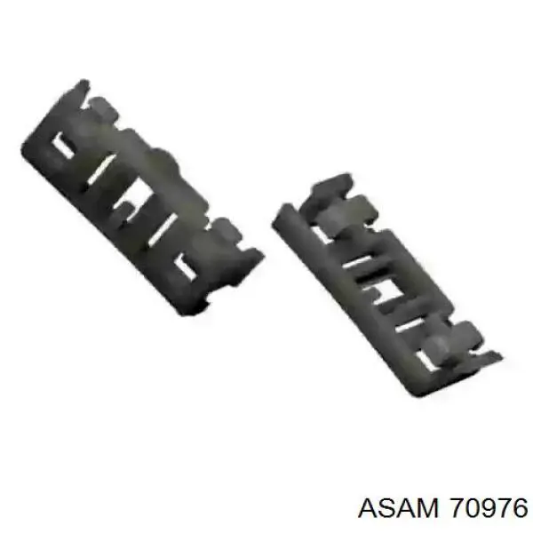 70976 Asam 
