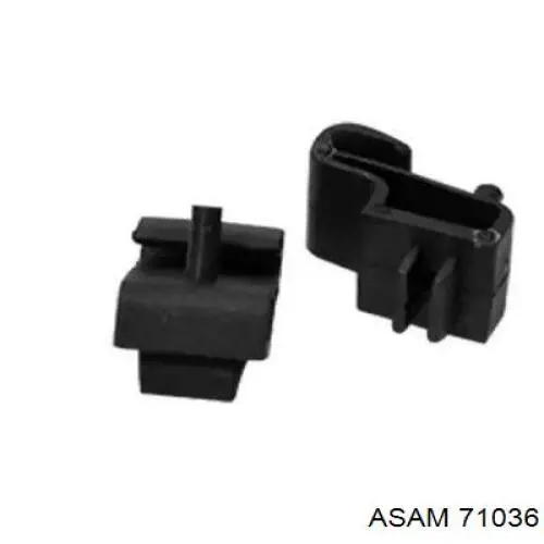 71036 Asam 