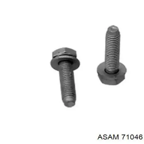  Asam 71046 ціна, від 0.31 USD