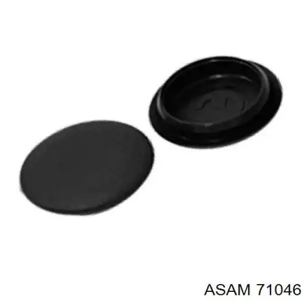 71046 Asam 