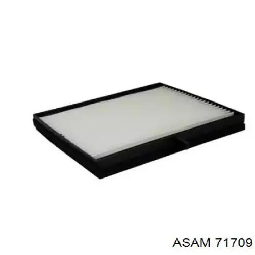 Купити 71709 Asam Фільтр салону вугільний