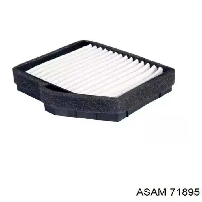 Купити 71895 Asam Фільтр салону вугільний