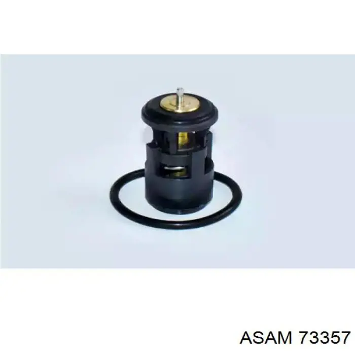Термостат 73357 Asam