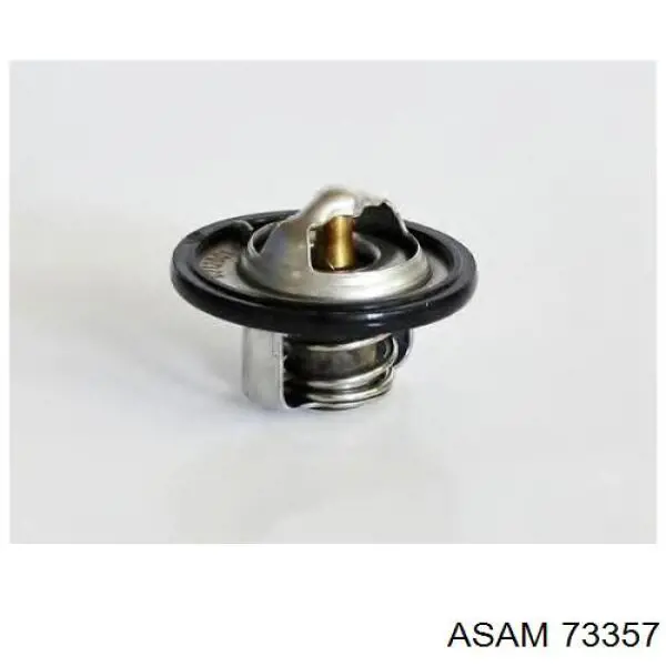 Купити 73357 Asam Термостат в корпусі
