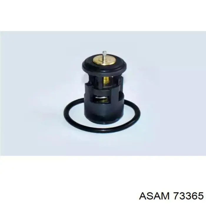 Термостат в зборі Asam 73365