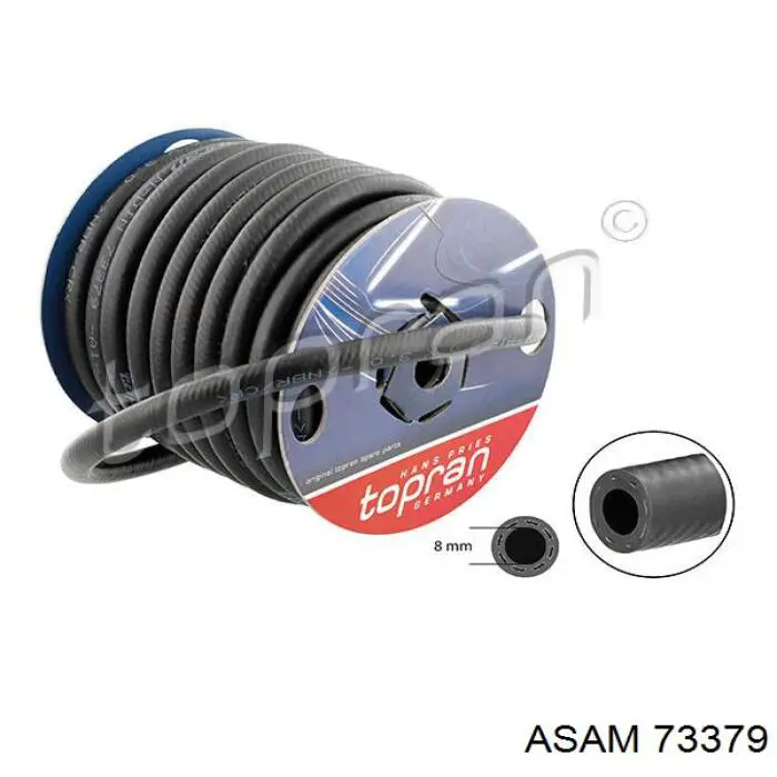 73379 Asam Авто термостат
