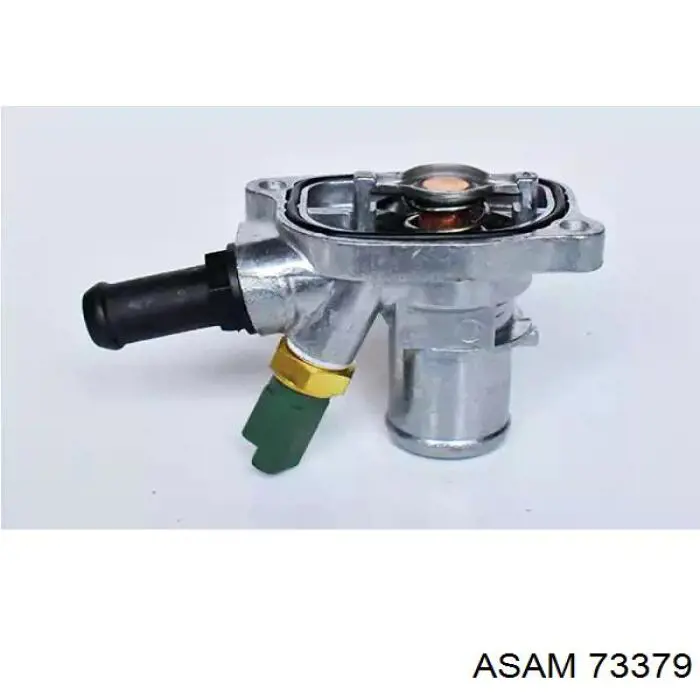 Купити 73379 Asam Термостат в корпусі
