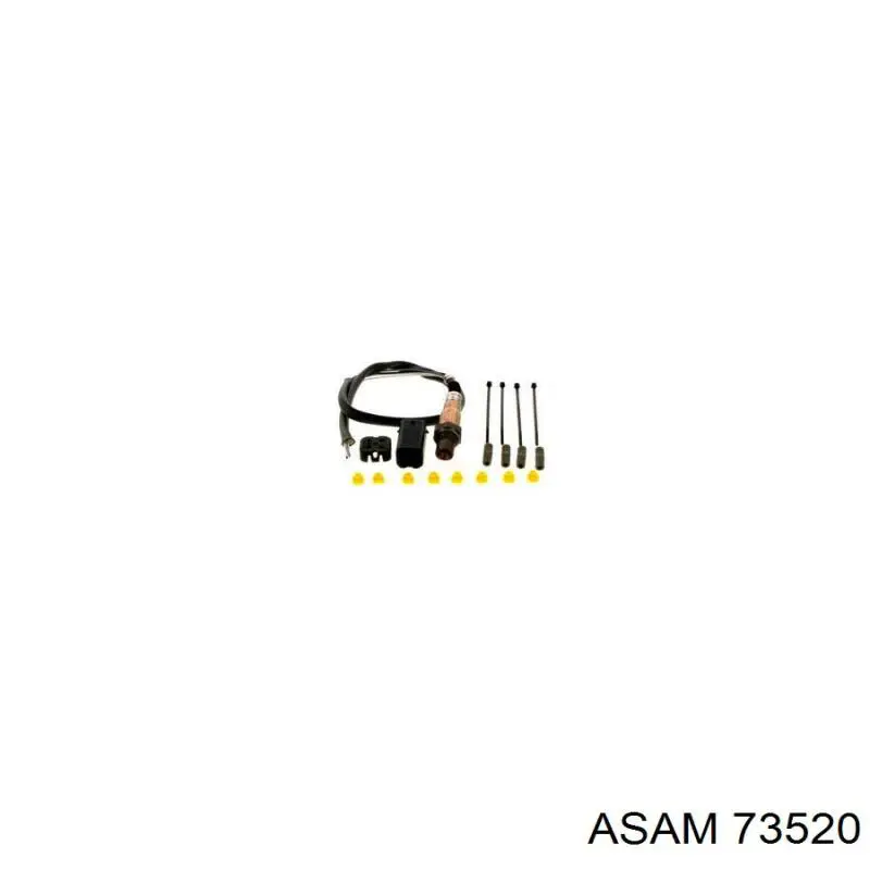 Купити 73520 Asam Термостат в корпусі