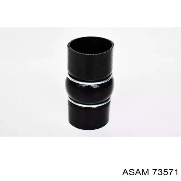 Шланг/патрубок интеркуллера Asam 73571 ціна, від 86.27 USD