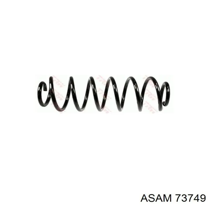Купити 73749 Asam Задні пружини