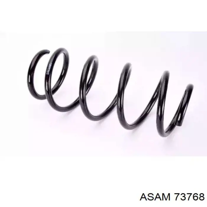 Задні пружини 73768 Asam