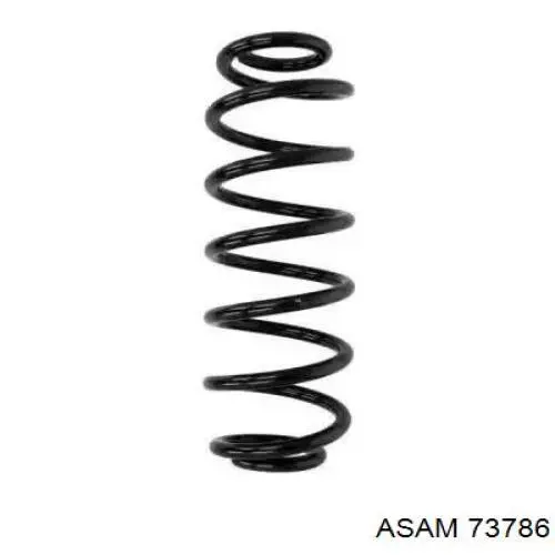 Купити 73786 Asam Задні пружини