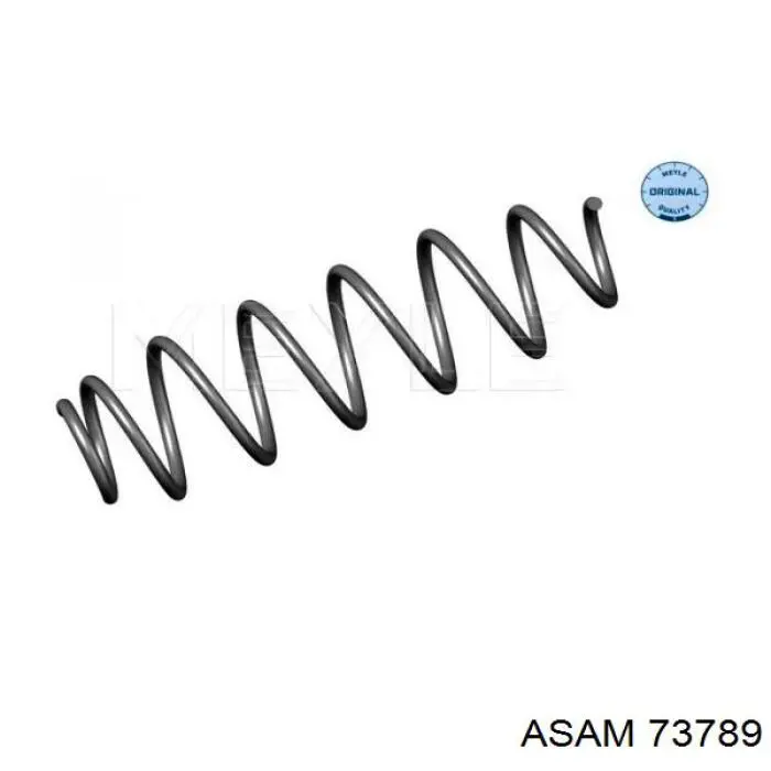 Купити 73789 Asam Задні пружини
