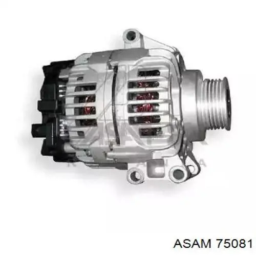 75081 Asam генератор