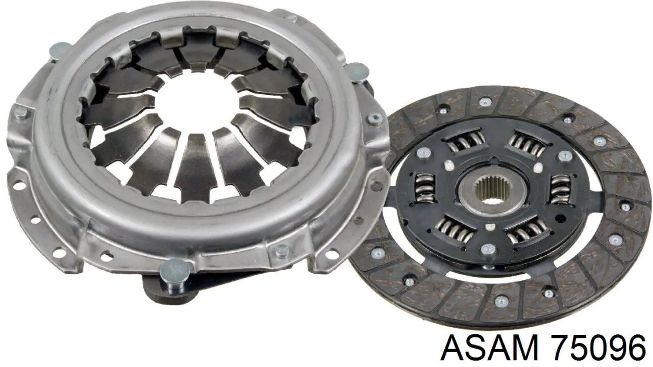 75096 Asam Зчеплення в зборі