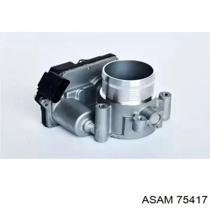 Купити 75417 Asam Дросільна заслінка
