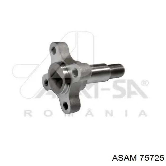 Маточина колеса передня Asam 75725 ціна, від 16.27 USD