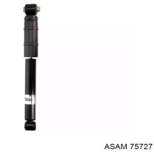 75727 Asam Амортизатори задні