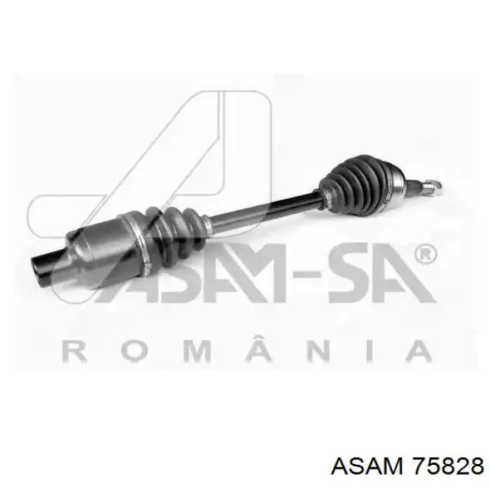 Піввісь передня, права Asam 75828 ціна, від 115.72 USD