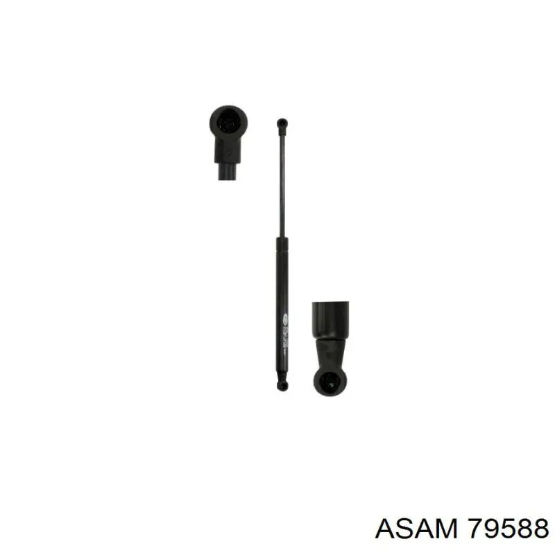 Амортизатор двері задньої Asam 79588 ціна, від 10.36 USD