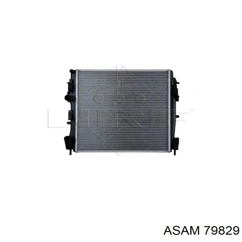 Радіатор основний Asam 79829 ціна, від 60.41 USD