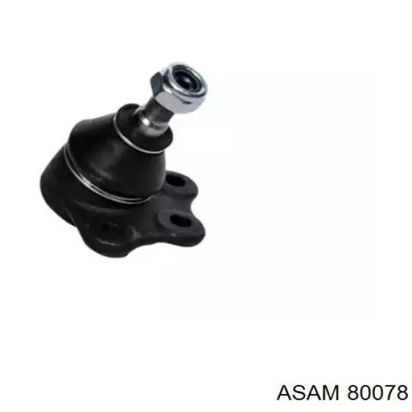 80078 Asam Кульові на авто