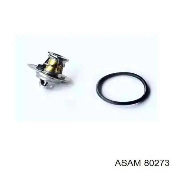 80273 Asam термостат