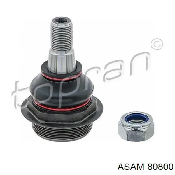 Купити 80800 Asam Кульова опора, нижня, права