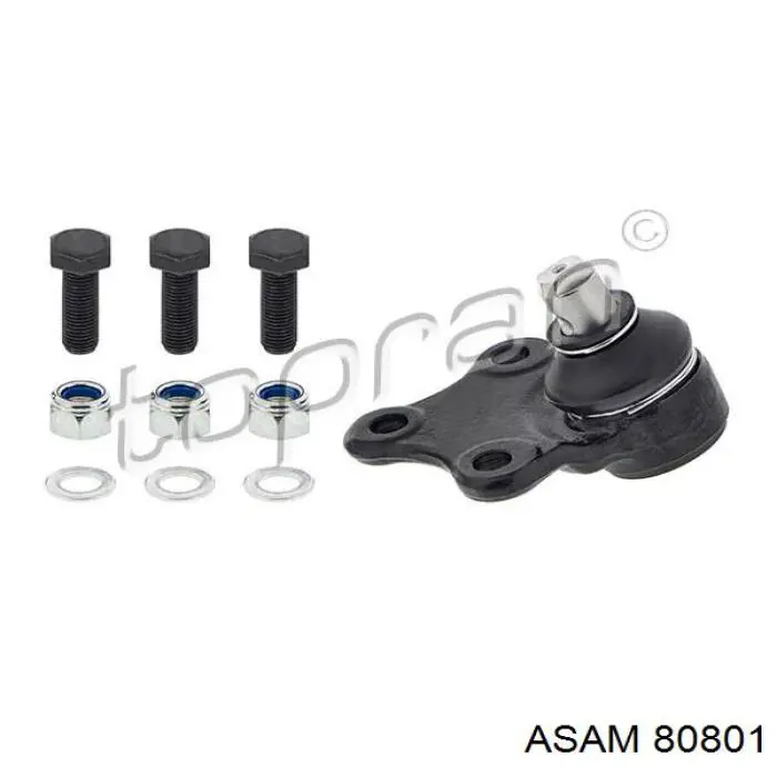 Купити 80801 Asam Кульова опора, нижня