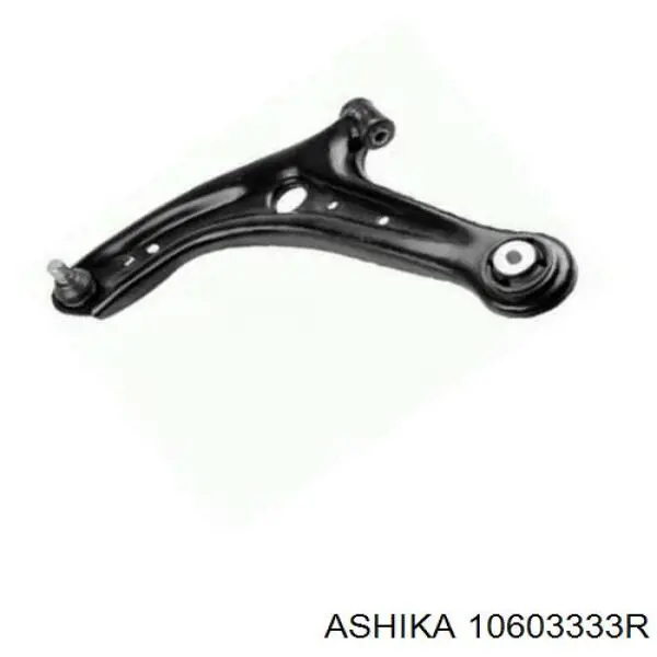 Стійка стабілізатора заднього, права 10603333R Ashika