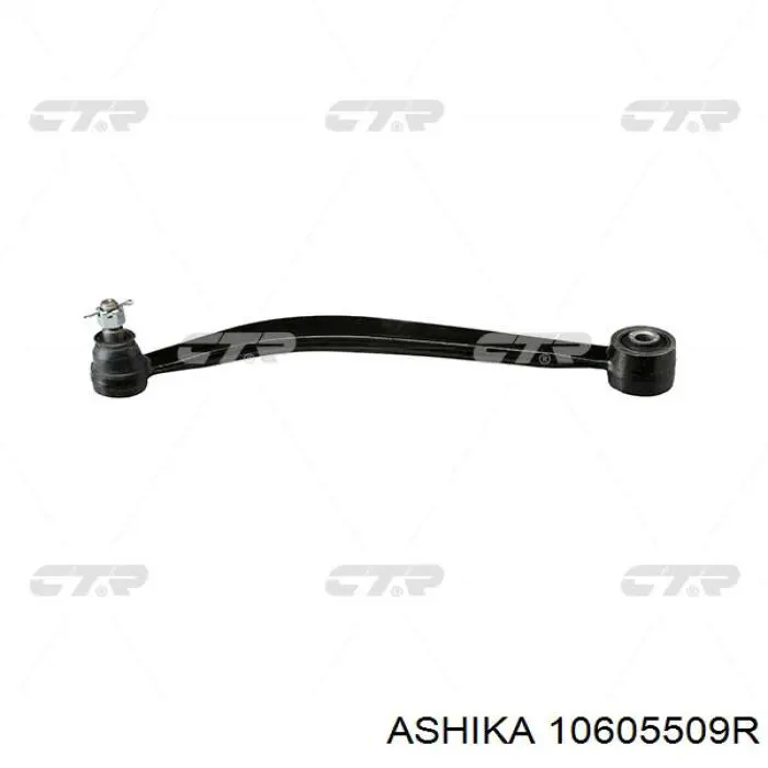 Яйця на стабілізаторі передні Ashika 10605509R