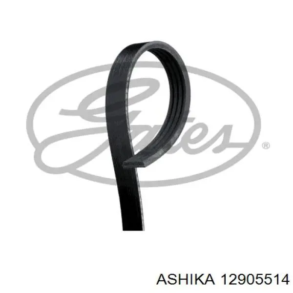 Купити 12905514 Ashika Ролик приводного ременя, паразитний