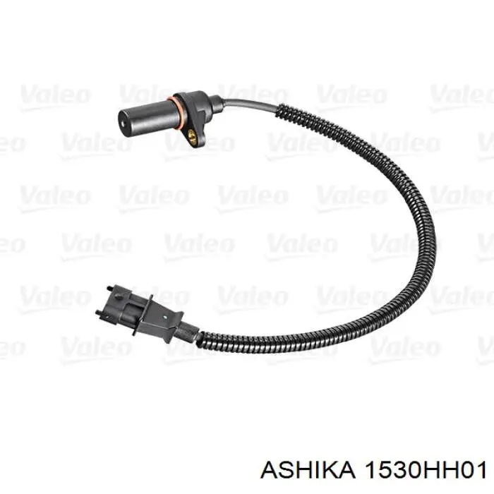 1530HH01 Ashika ДПКВ