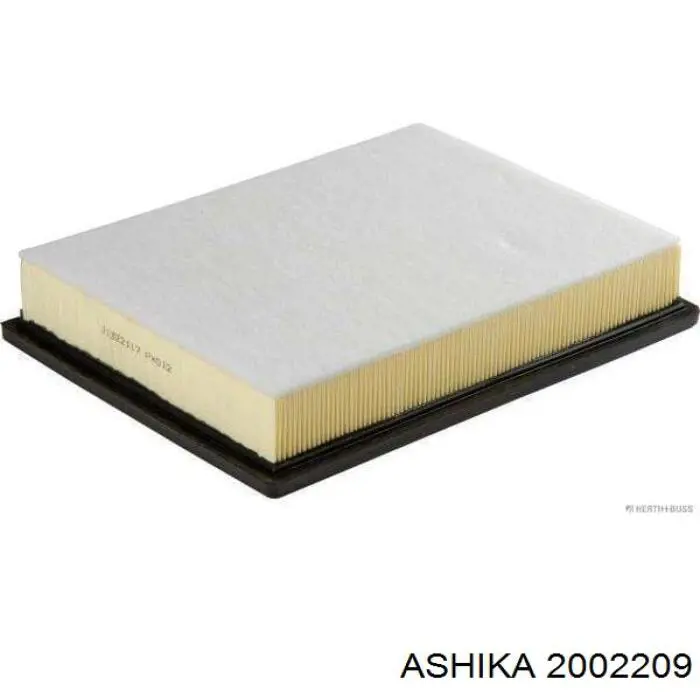 Повітряний фільтр 2002209 Ashika