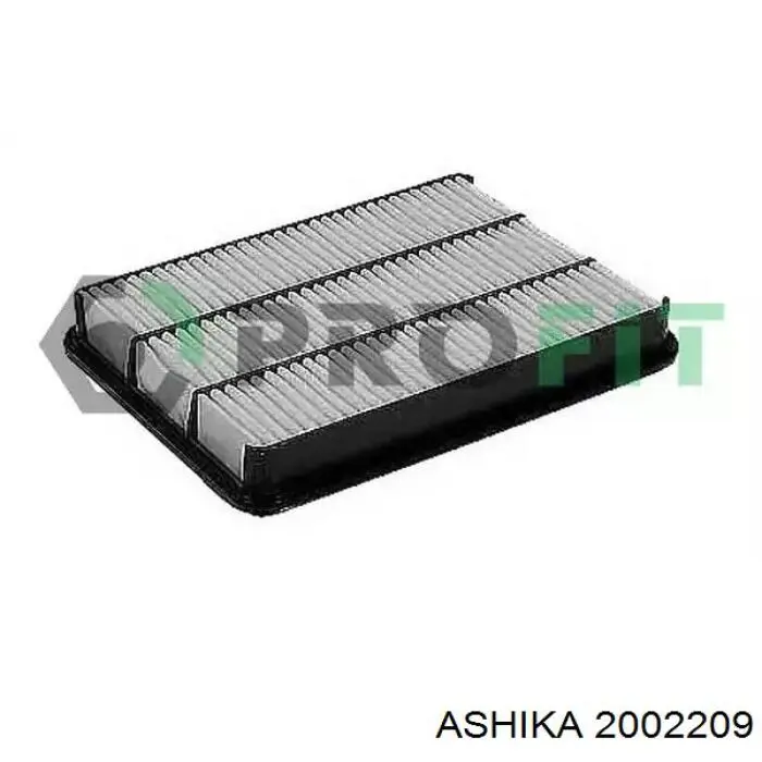 Купити 2002209 Ashika Автомобільний фільтр повітря