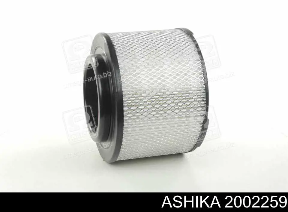 Купити 2002259 Ashika Автомобільний фільтр повітря