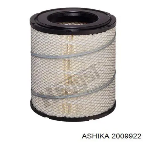 Елемент повітряного фільтра Ashika 2009922 ціна, від 17.99 USD