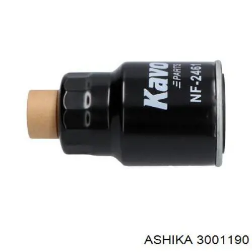 3001190 Ashika Фільтр палива