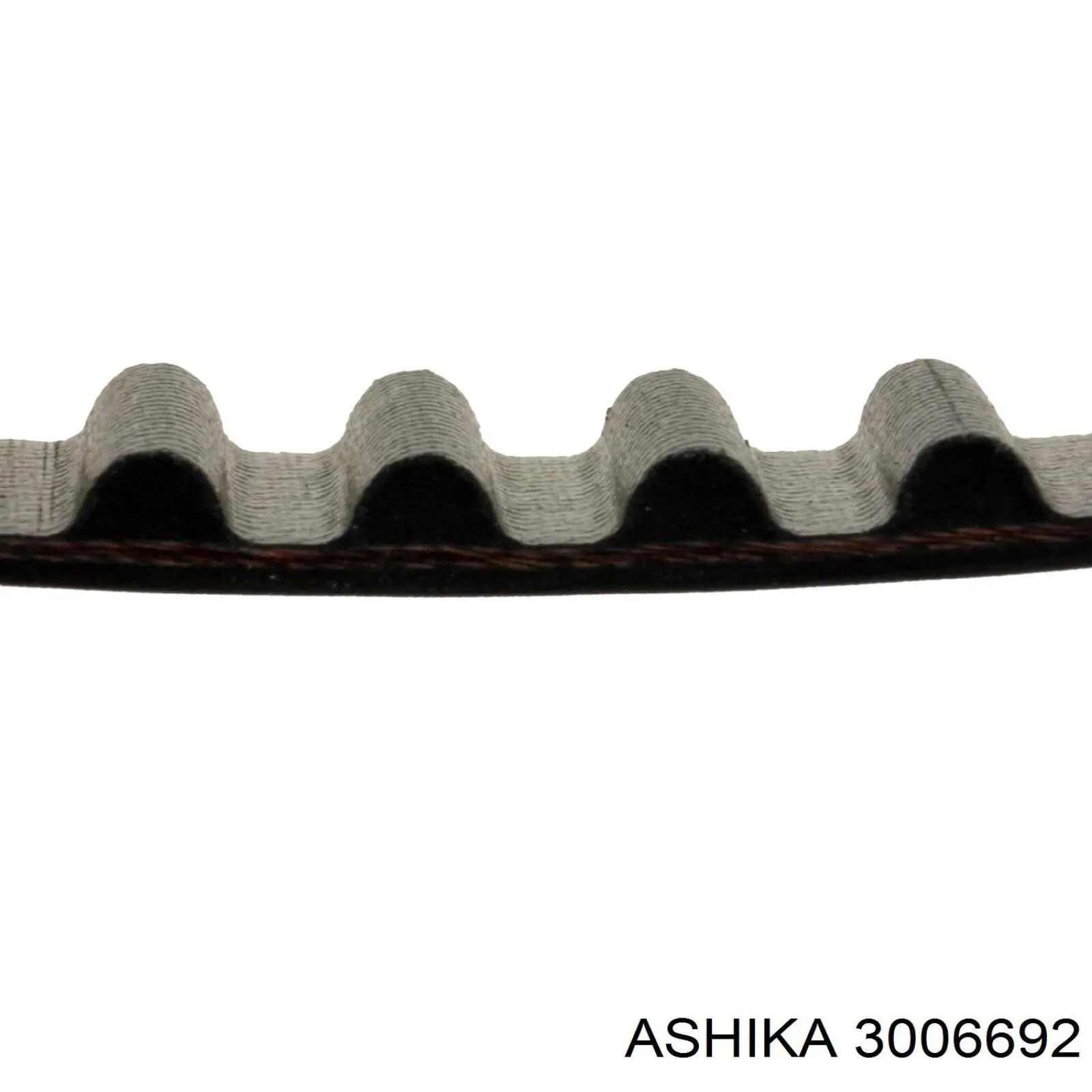 Фільтр паливний Ashika 3006692