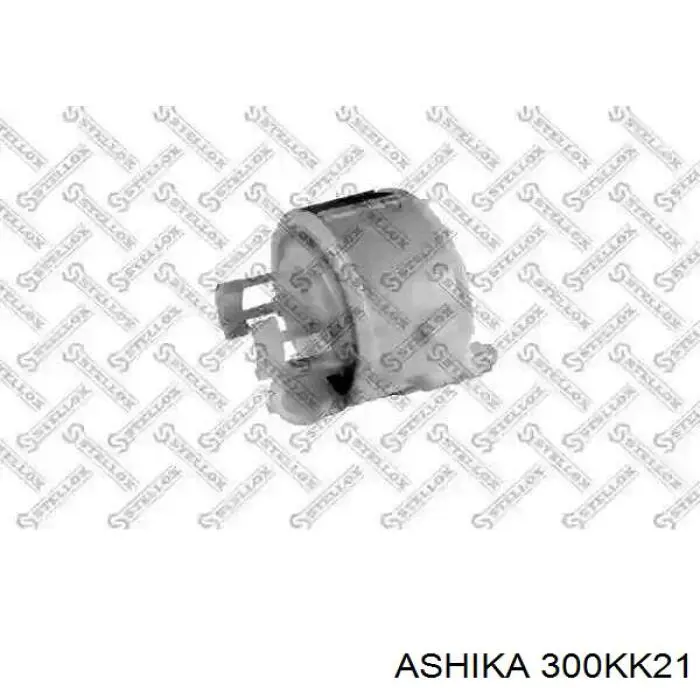 Фільтр паливний Ashika 300KK21
