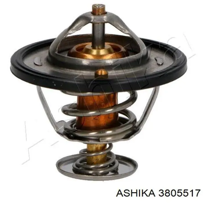 Купити 3805517 Ashika Термостат в корпусі