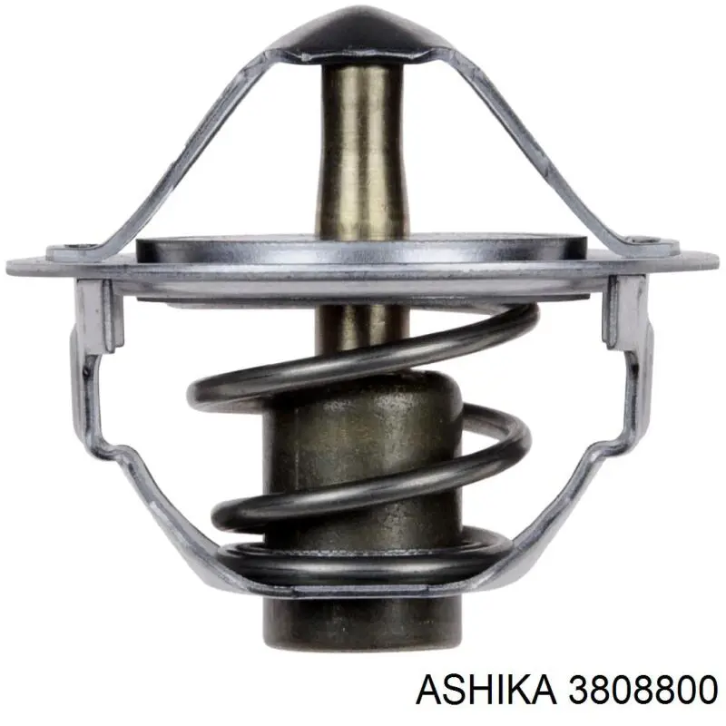3808800 Ashika термостат